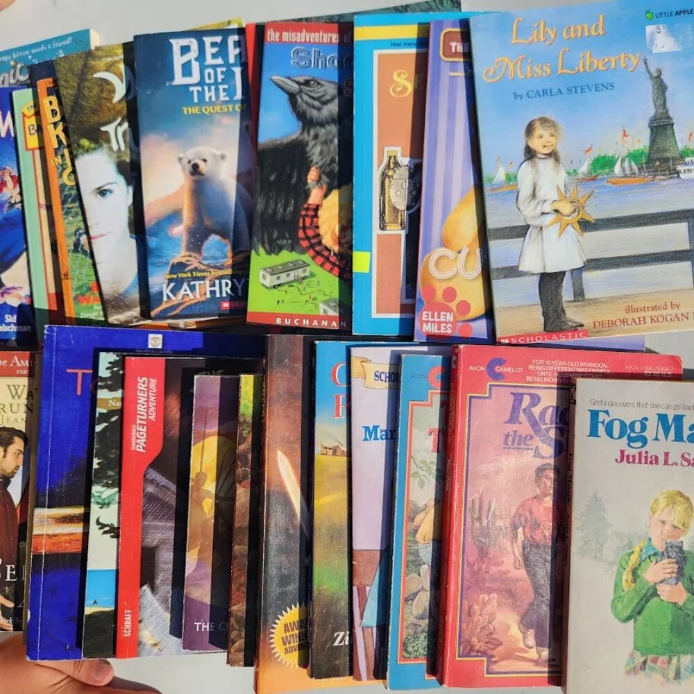 4 Book Bundle Lot Set Chapter Books Young Adult Literature Novels Mystery Books